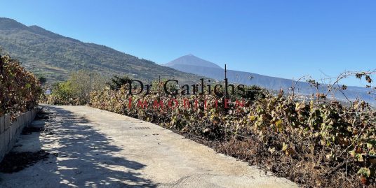 Canary style finca in La Victoria