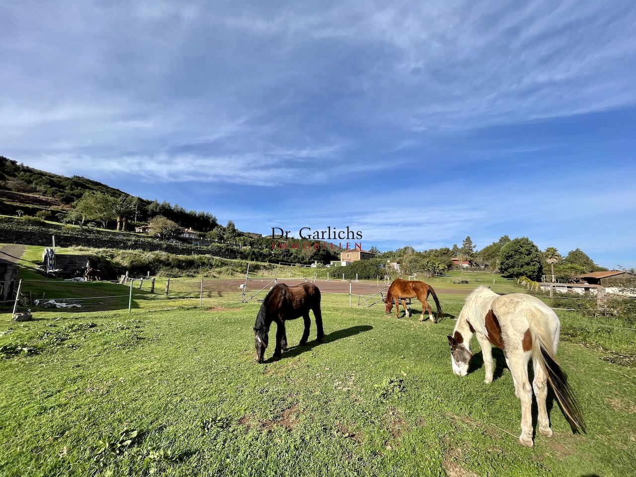 Pferde-Finca mit Potenzial in La Esperanza