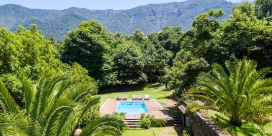 Wonderful finca for living and renting purposes