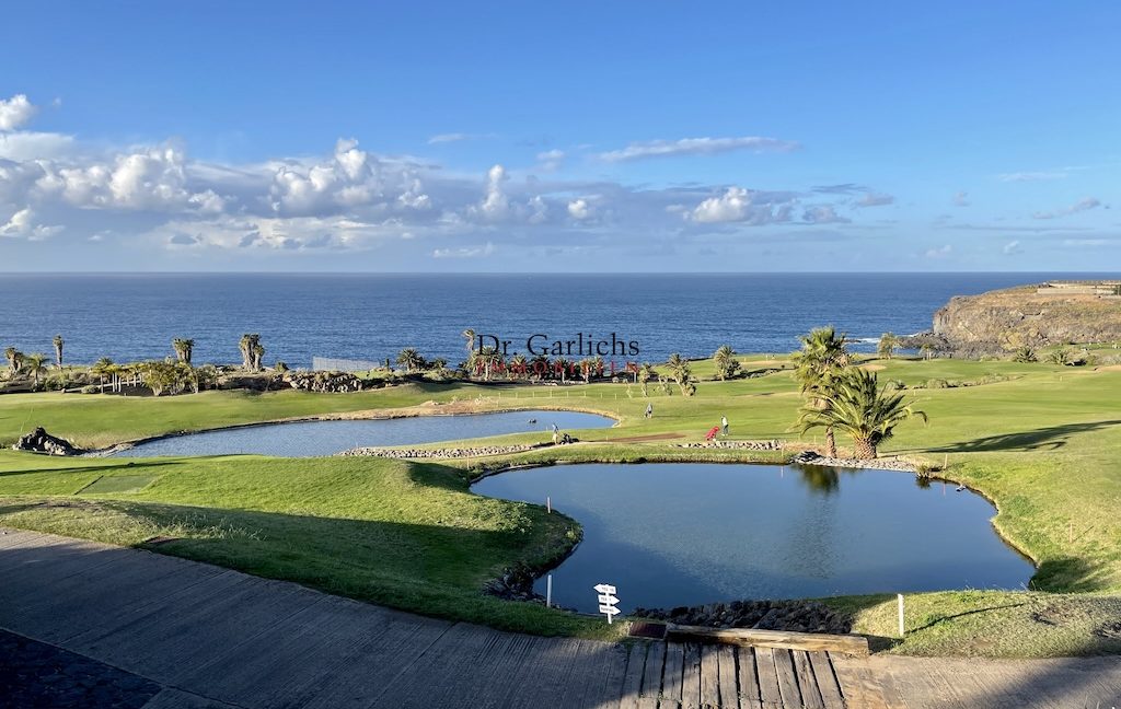 Buenavista - Finca - ID2911 - 2