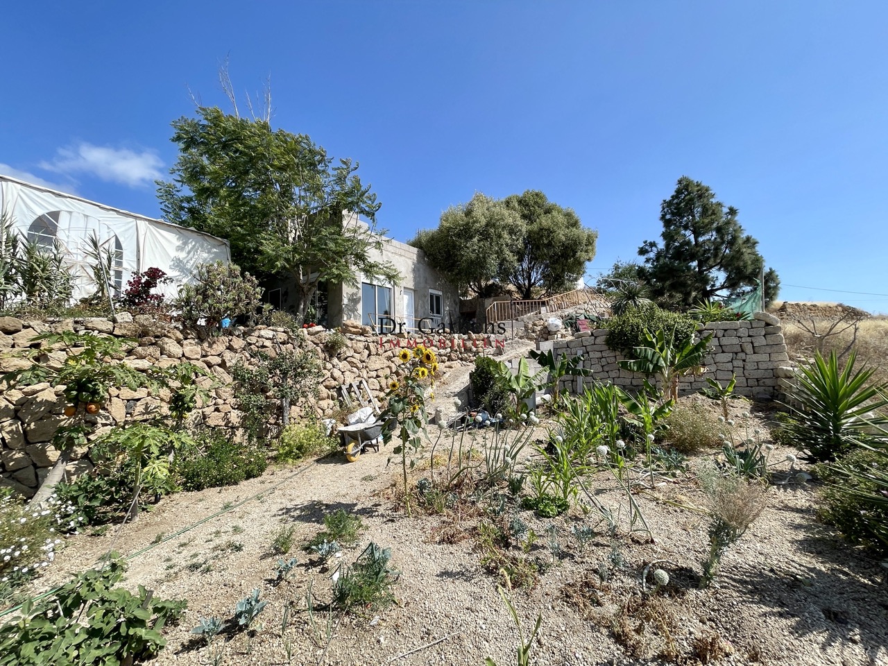Beautiful finca with cultivation possibilities in quiet location
