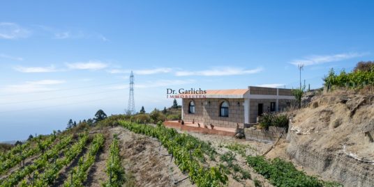 Finca with vineyards in quiet location