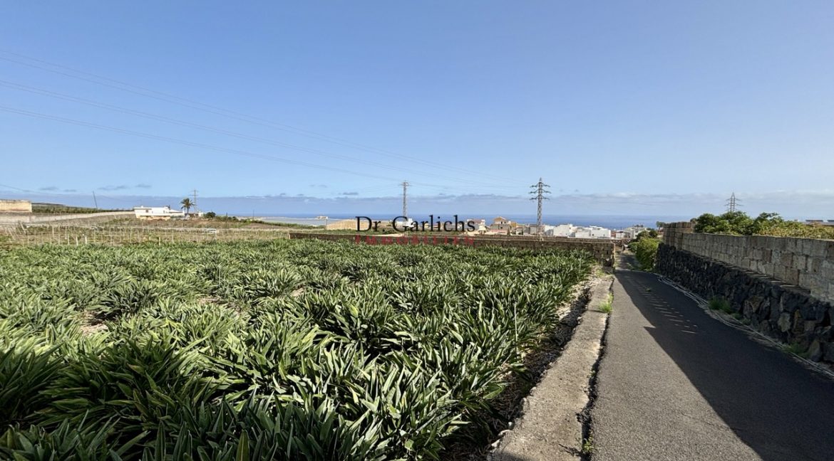2512_Finca - Tenerife - Tejina - ID8183 - 11_589