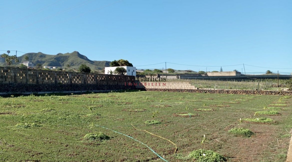 2512_Finca - Tenerife - Tejina - ID8183 - 12b