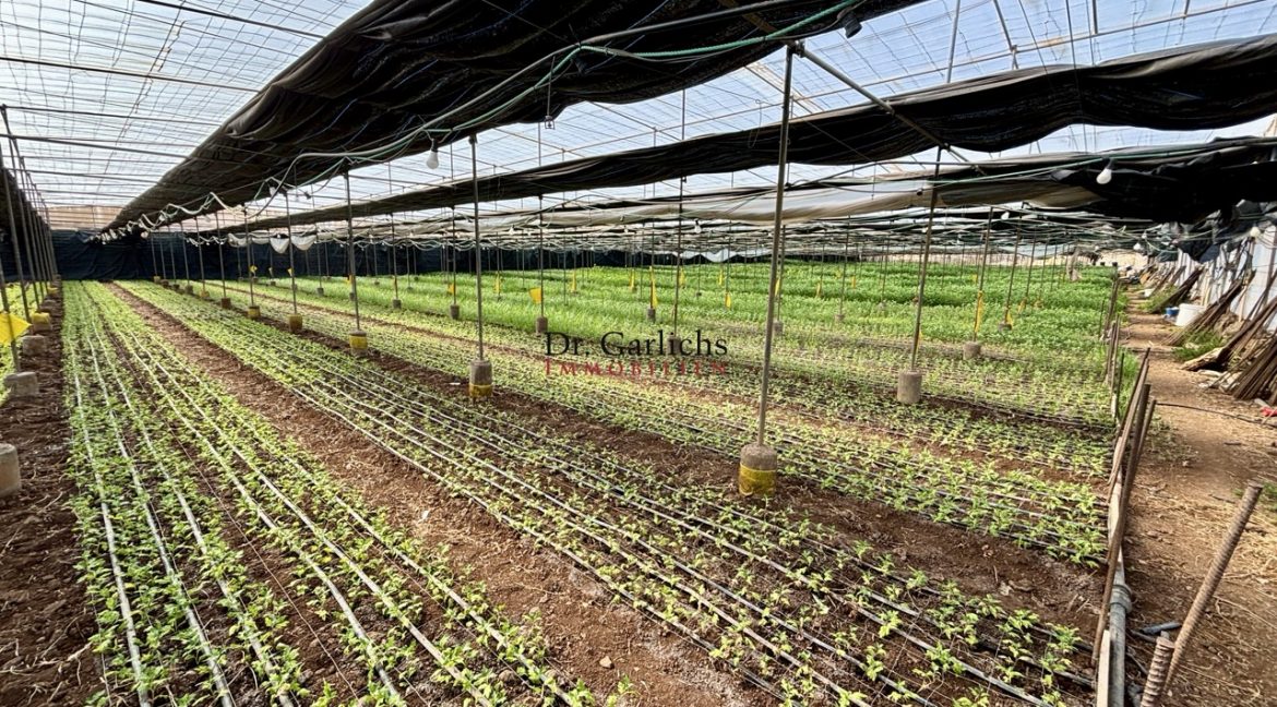 2512_Finca - Tenerife - Tejina - ID8183 - 15_6485