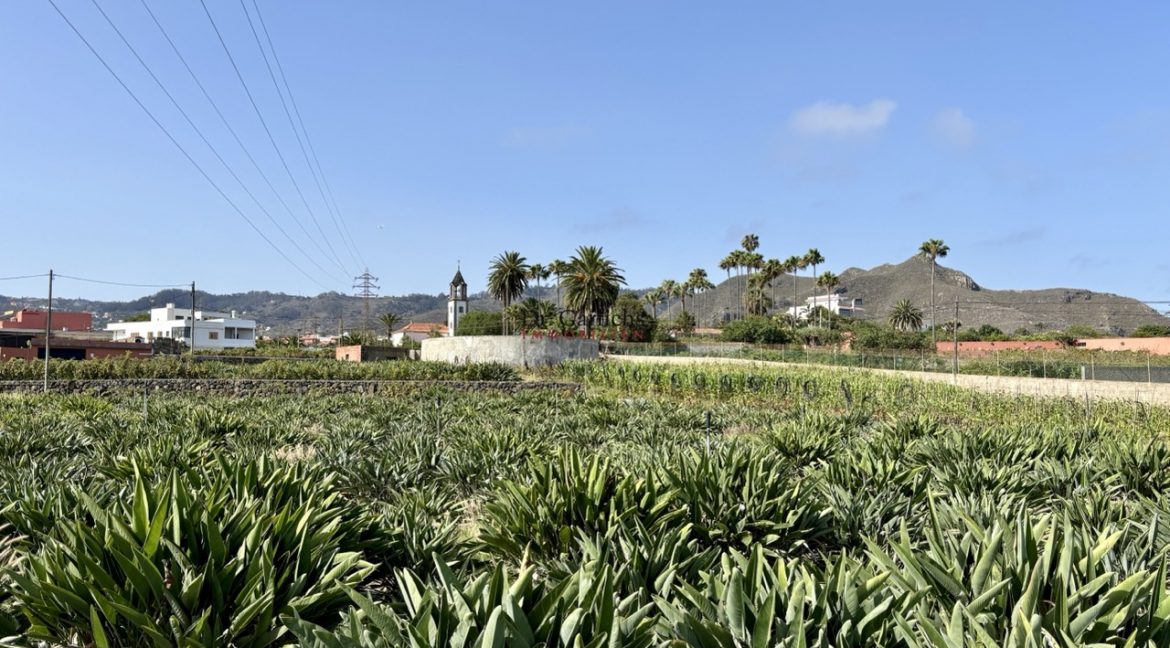 2512_Finca - Tenerife - Tejina - ID8183 - 1_555