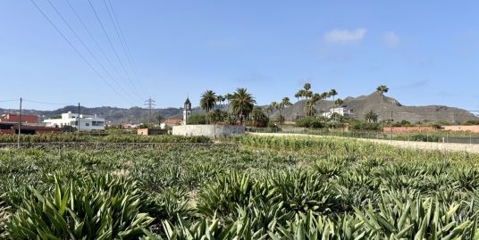 Spacious finca in urban surroundings