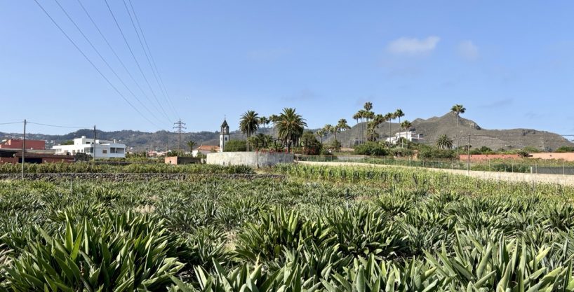 Großzügige Finca mit über 3 Hektar Land auf 240 m