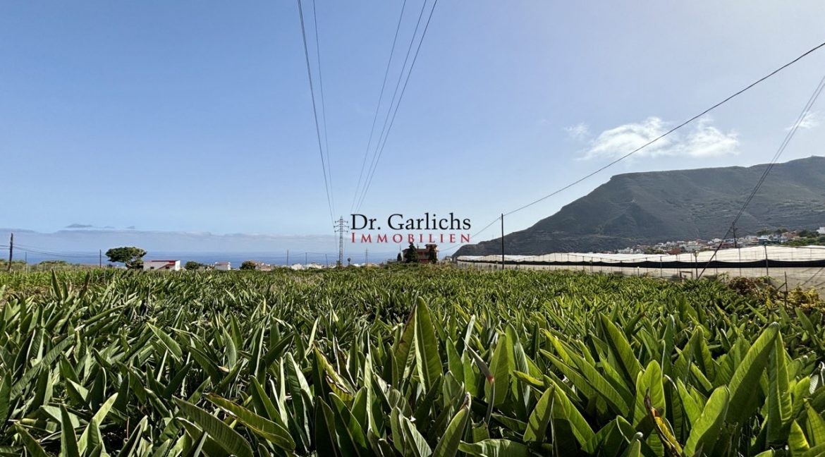 2512_Finca - Tenerife - Tejina - ID8183 - 1a_6658