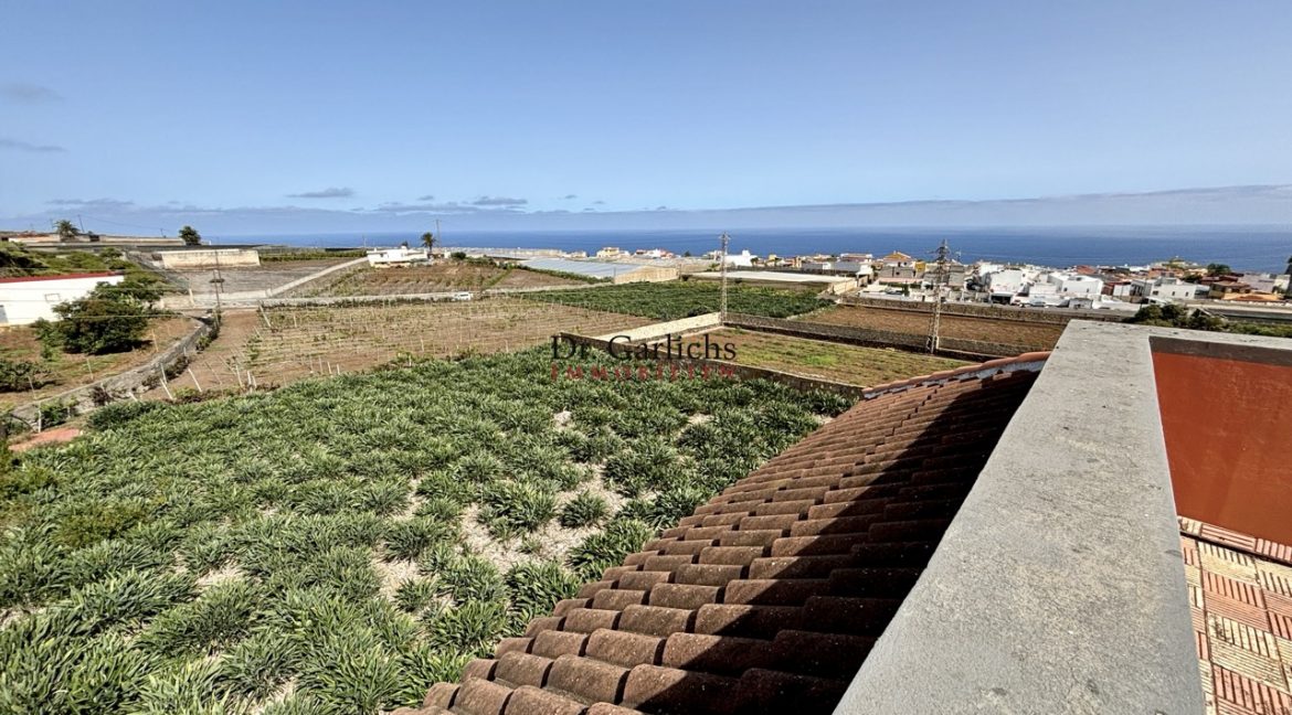 2512_Finca - Tenerife - Tejina - ID8183 - 21d_5411