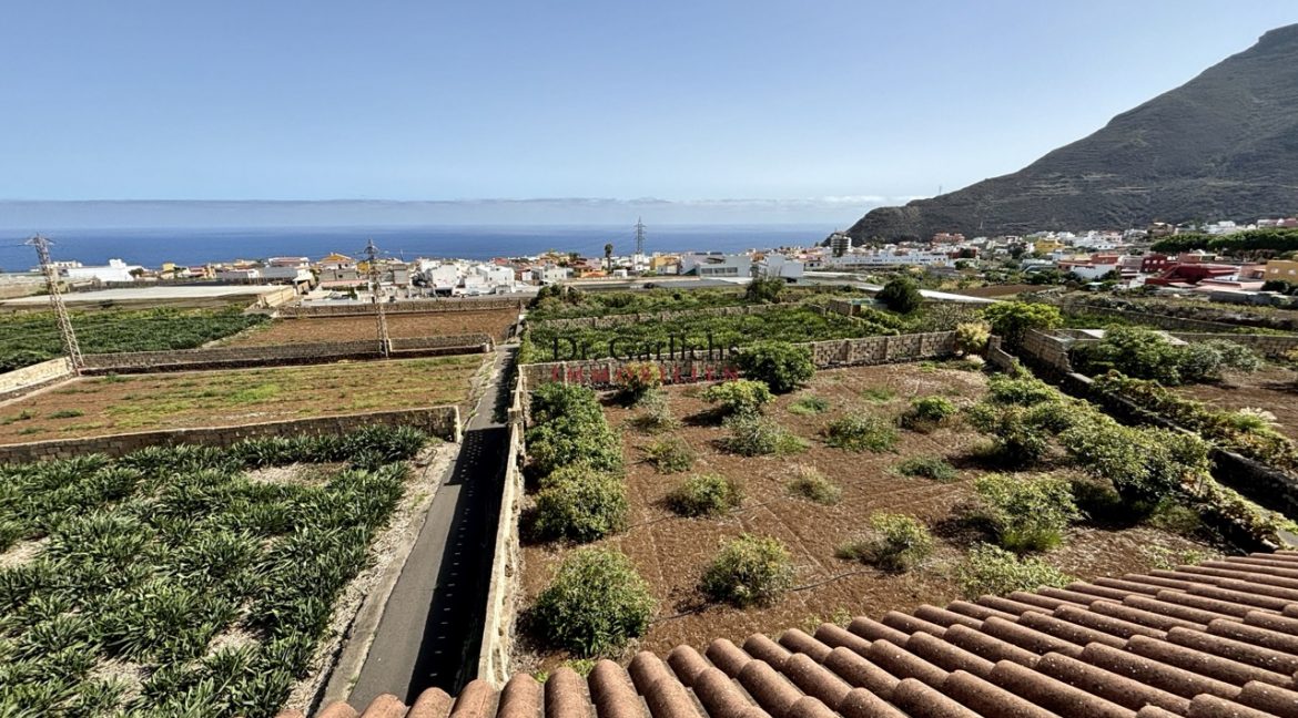 2512_Finca - Tenerife - Tejina - ID8183 - 21e_5111