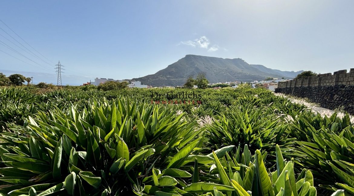 2512_Finca - Tenerife - Tejina - ID8183 - 21gg