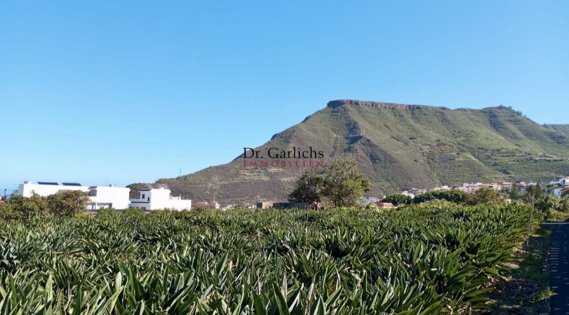 2512_Finca - Tenerife - Tejina - ID8183 - 21h_751