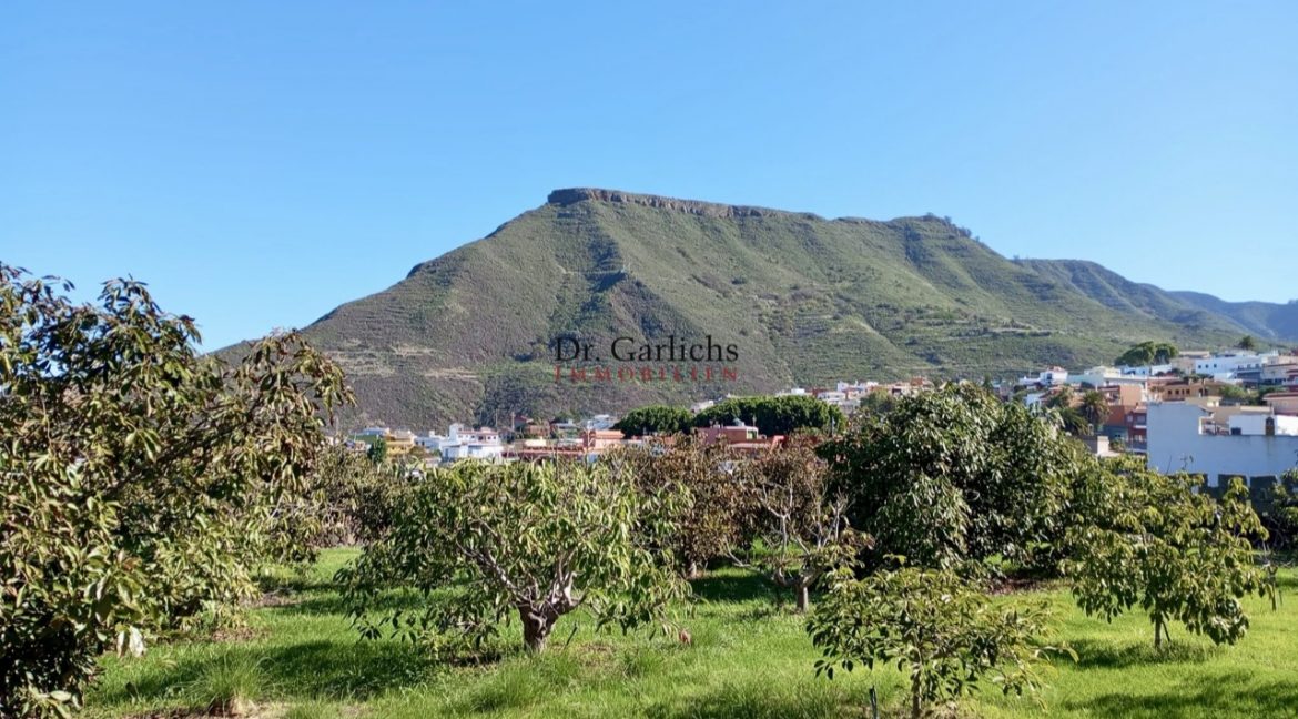 2512_Finca - Tenerife - Tejina - ID8183 - 21i_1988