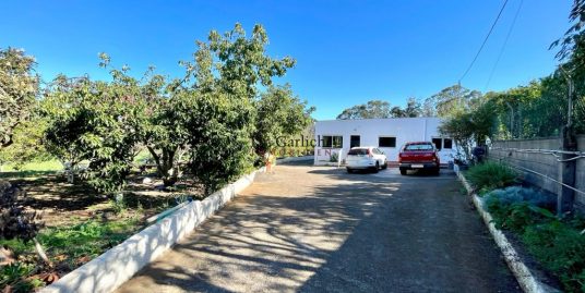 Finca with abundant harvest and good connections