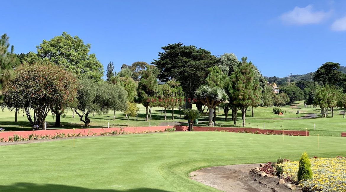 Teneriffa - Tacoronte - Golfplatz - 1