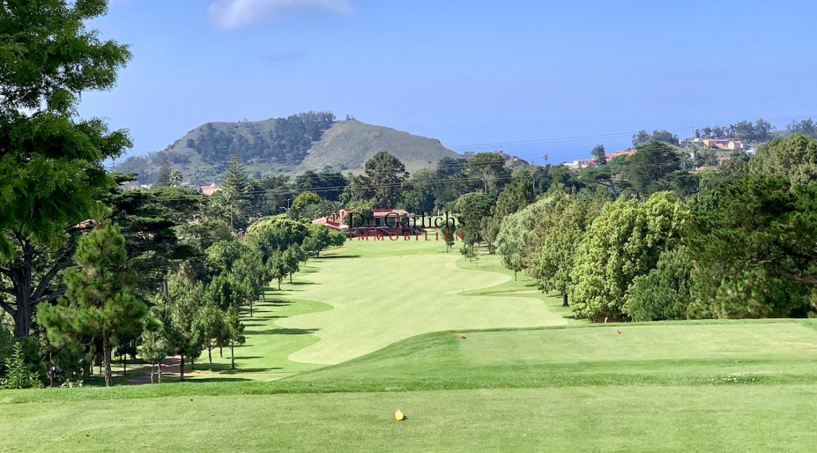 Teneriffa - Tacoronte - Golfplatz - 3