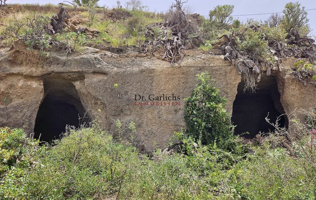 9544_Granadilla - Teneriffa - Finca - ID6126 - 58_1225