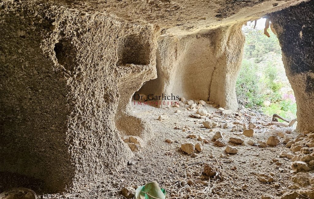 9544_Granadilla - Teneriffa - Finca - ID6126 - 59_8235