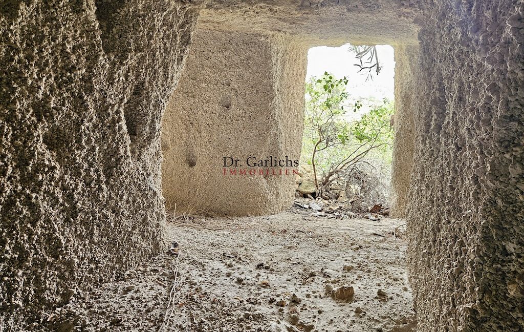 9544_Granadilla - Teneriffa - Finca - ID6126 - 62_3741