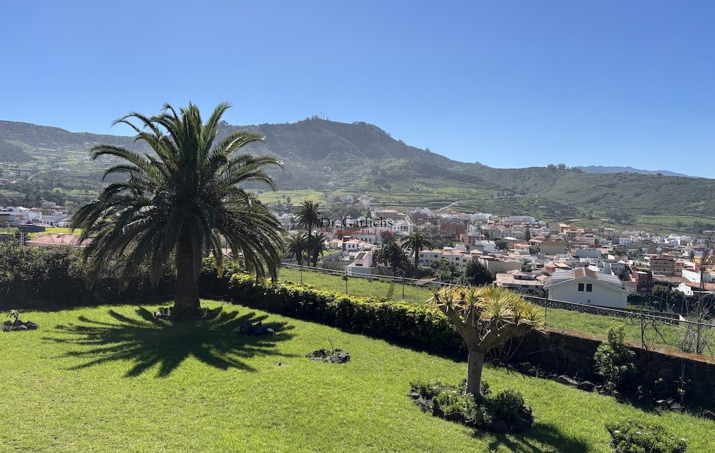 3571_Tegueste - Teneriffa - ID2433 - 16an