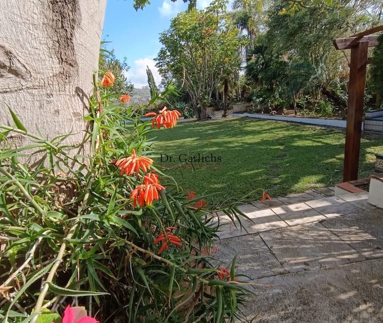 8351_Tacoronte - Teneriffa - Haus - ID1882 - 29_9266