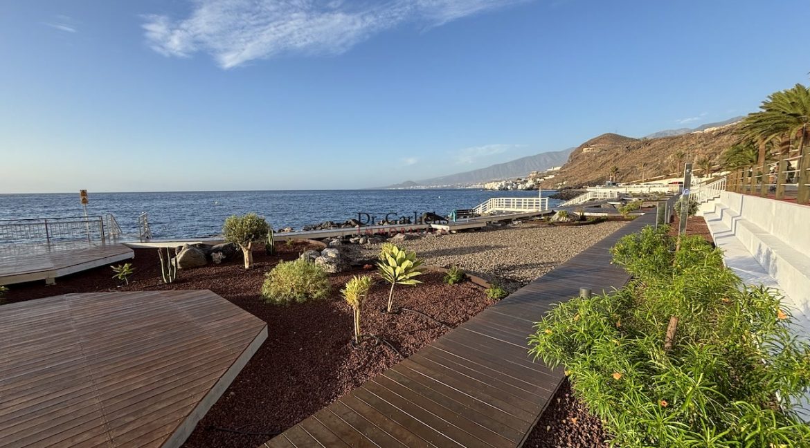 Tabaiba - Teneriffa - ID6914 - 35