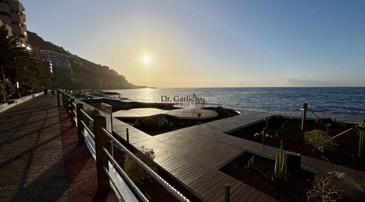 Tabaiba - Teneriffa - ID6914 - 36