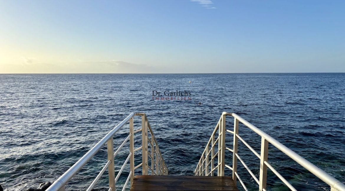 Tabaiba - Teneriffa - ID6914 - 38