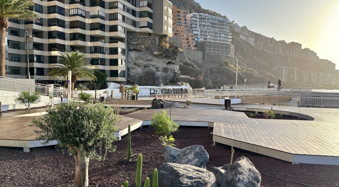 Tabaiba - Teneriffa - ID6914 - 39