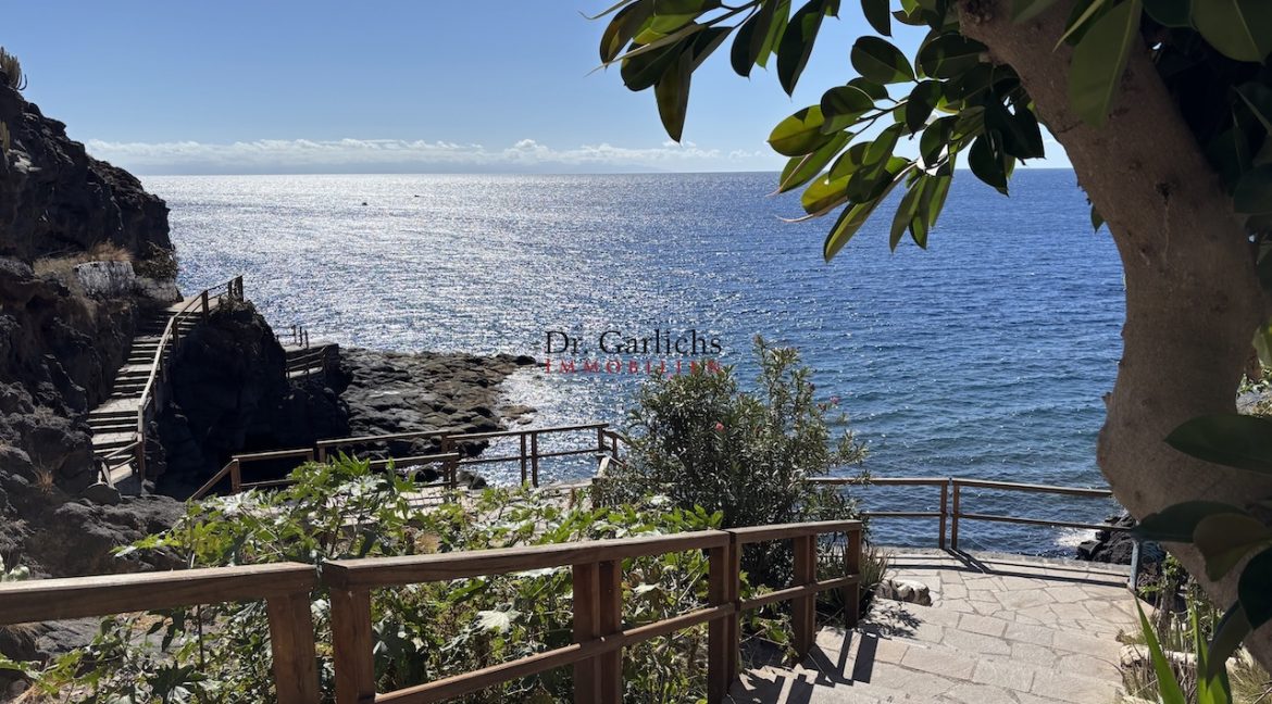 Tabaiba - Teneriffa - ID6914 - 50