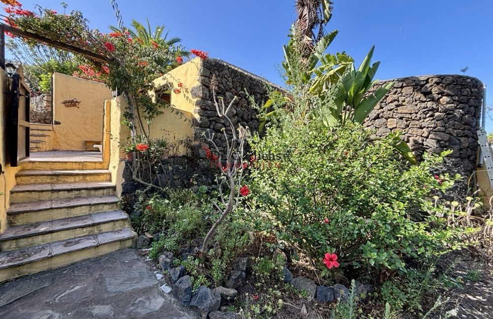 2081_Icod - Teneriffa - ID2877 - 2_7709