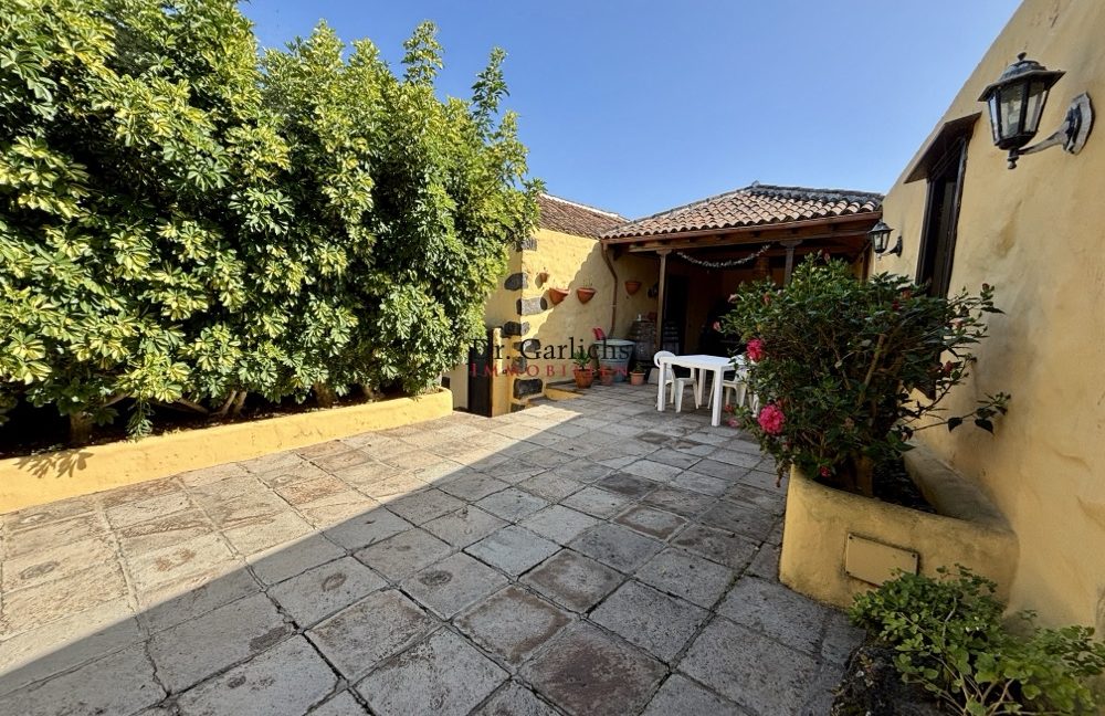 2081_Icod - Teneriffa - ID2877 - 49a_6825