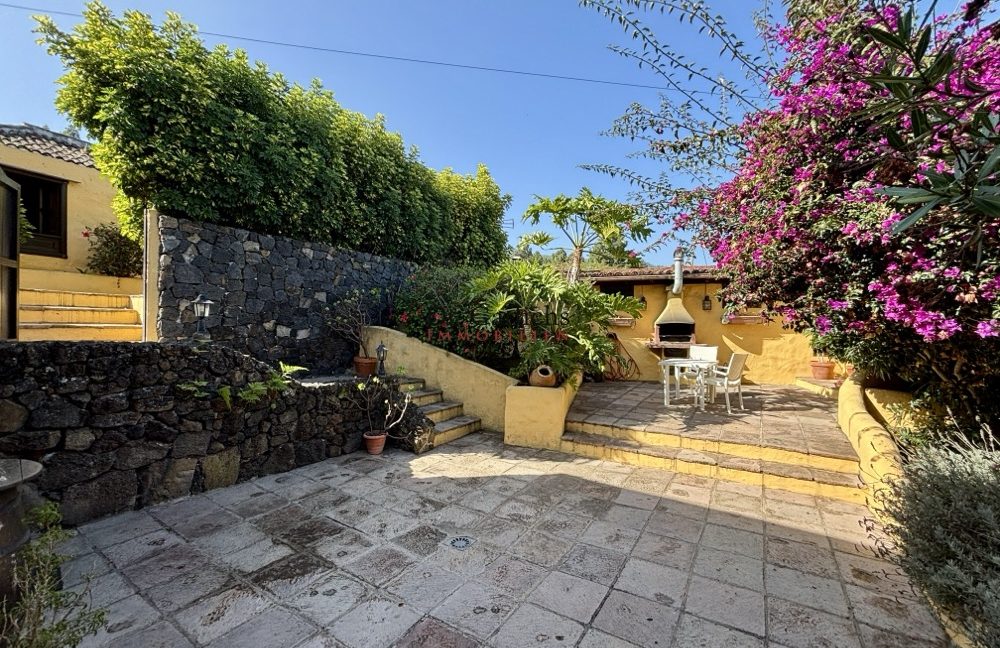 2081_Icod - Teneriffa - ID2877 - 67_1085