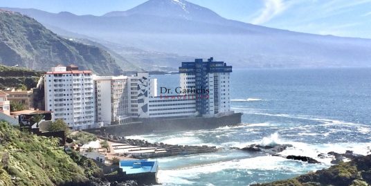 Penthouse with guest unit in first sea line