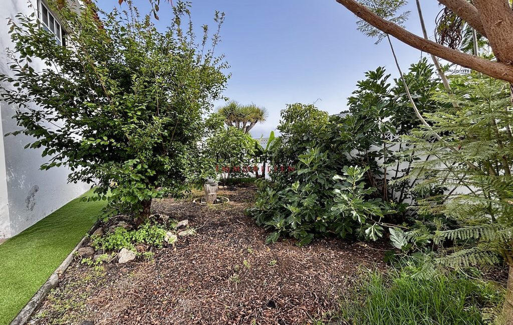 957_EL Sauzal - Haus - Teneriffa - ID4245 - 22a_594