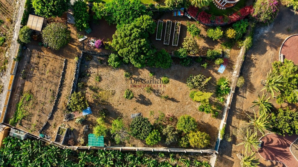 Buenavista - Teneriffa - Ref. 6112 - 5