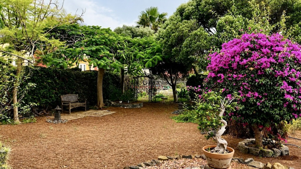 Buenavista - Teneriffa - Ref. 6112 - 9