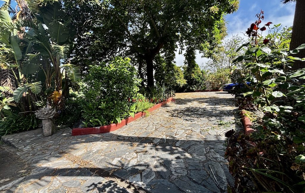 Tacoronte - Teneriffa - ID7743 - 1