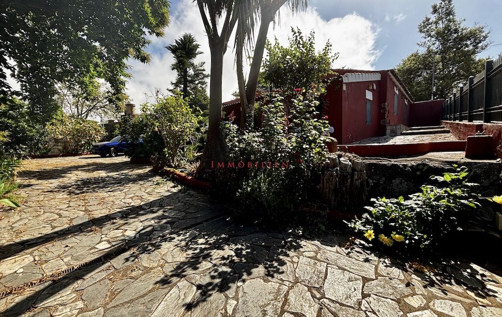 Tacoronte - Teneriffa - ID7743 - 2