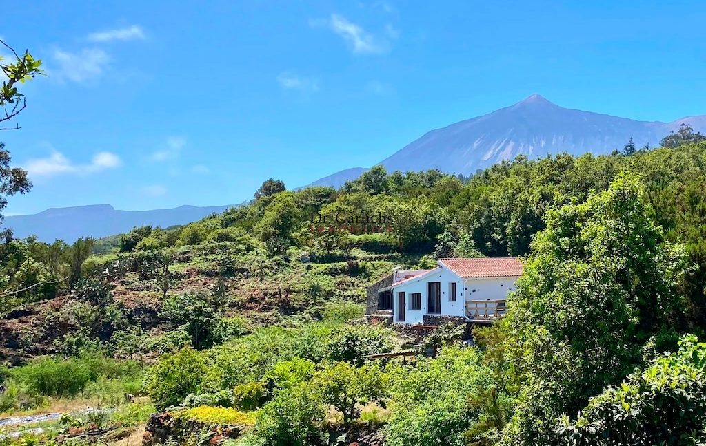 5244_Finca - Teneriffa - ID6162 - 10_5730