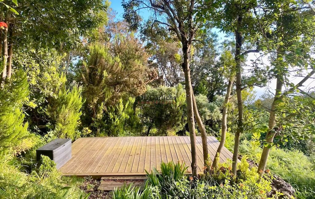 5244_Finca - Teneriffa - ID6162 - 4_232