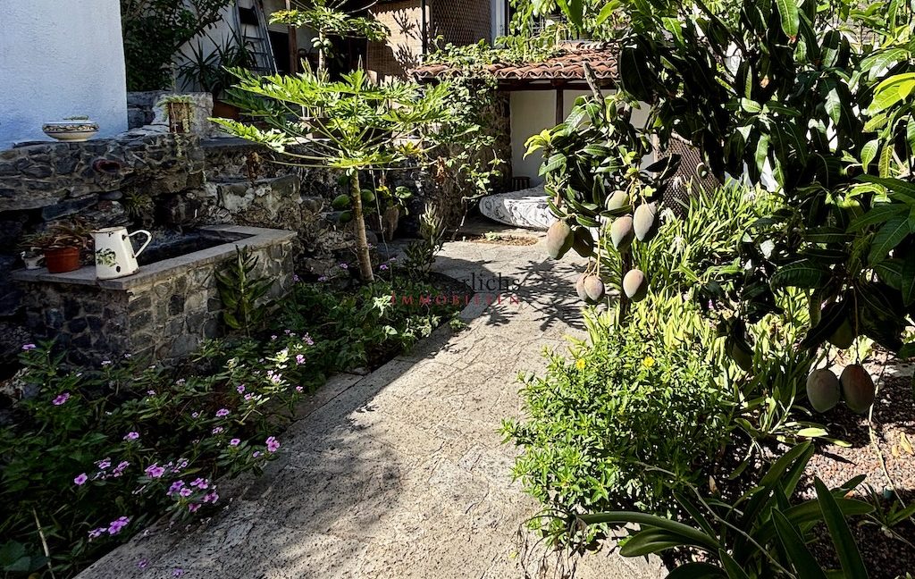 Garachico - Casa - ID7012 - 2
