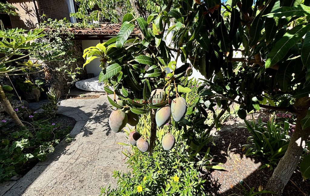 Garachico - Casa - ID7012 - 60