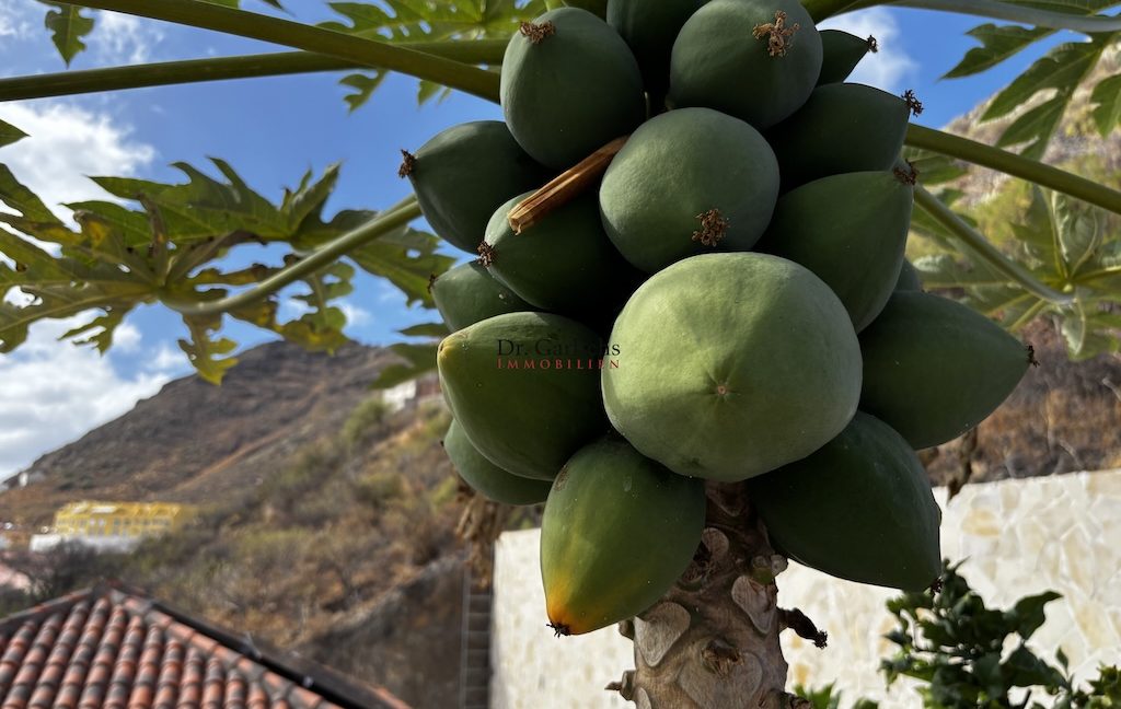 3548_San Andres - Teneriffa - ID5512 - 63_3781
